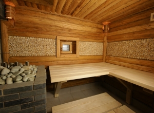 аренда бани в подмосковье на дровах 