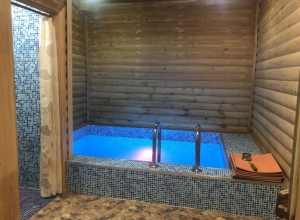 дом баня в подмосковье посуточно бассейн