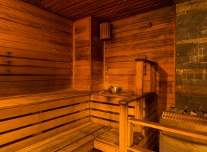деревенская баня фото в москве
