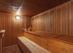 деревенская баня внутри в москве