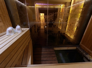 баня с бассейном снять в подмосковье
